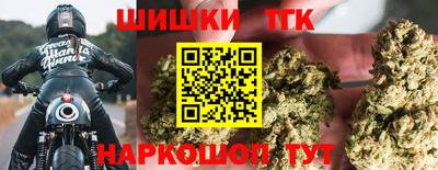 крисы Малгобек
