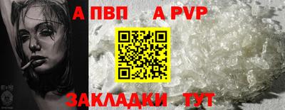 крисы Малгобек