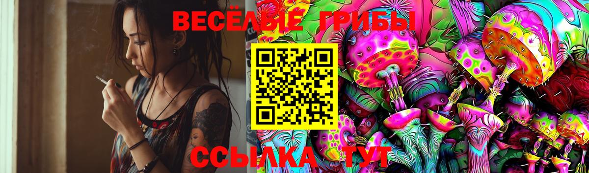 Псилоцибиновые грибы Psilocybe  где продают наркотики  Щёлково  Вход с VPN 
